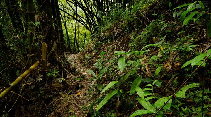 Bulabog Putian National Park