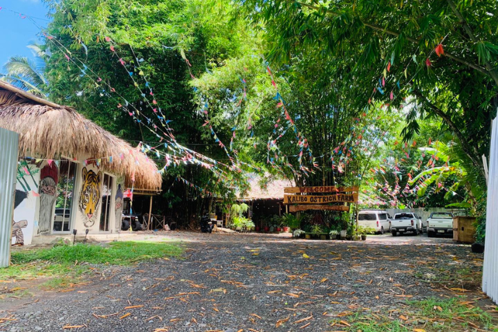 Kalibo Ostrich Paradise